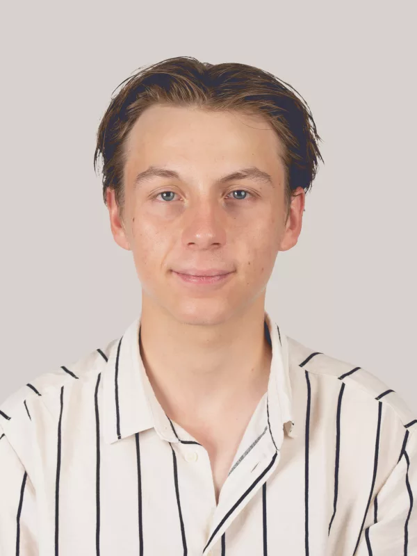 Mathys Estable